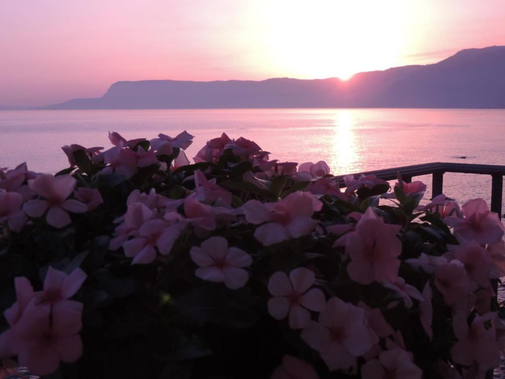 B&B La Veduta Scilla Kültér fotó